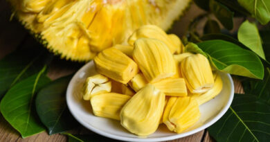 Jackfruit Health Benefits and Nutrition Facts