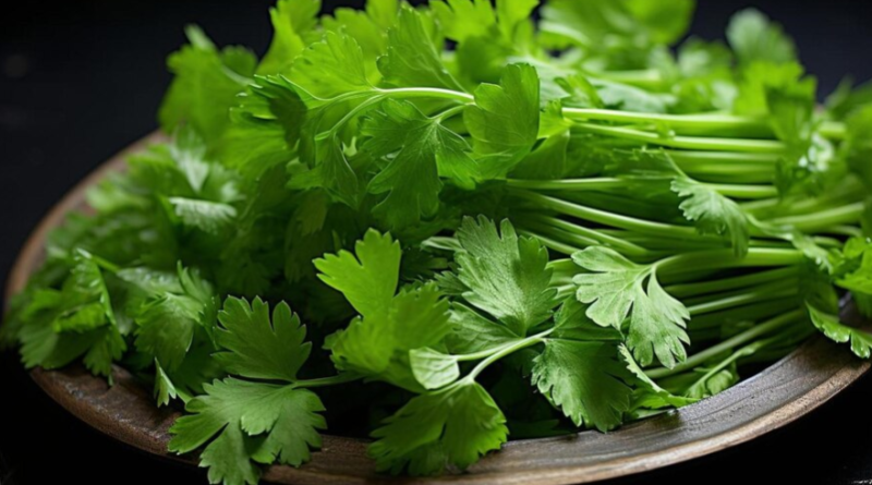 The health benefits of celery leaves for men are numerous