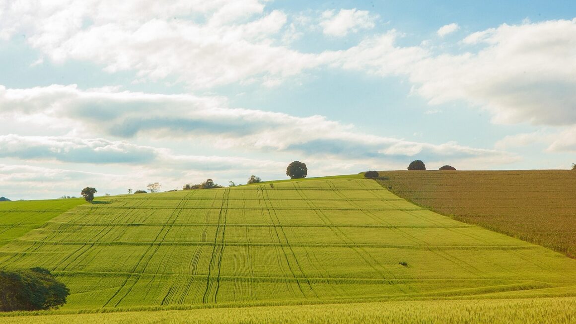 Lowes Appliance Discounts: Grab the Best Tool Coupons and Deals Today